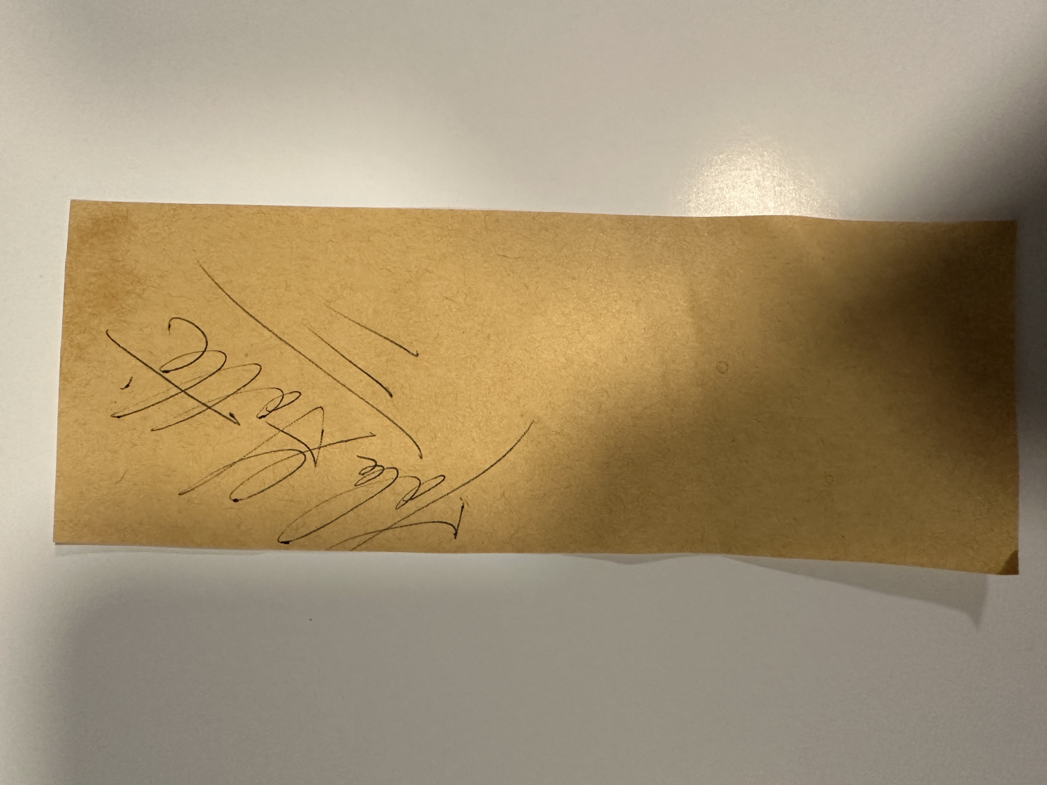 John Gotti Cut Autograph