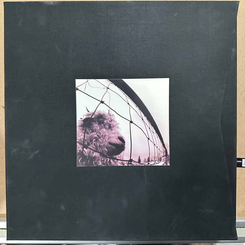 Pearl Jam – VS Deluxe Box Set