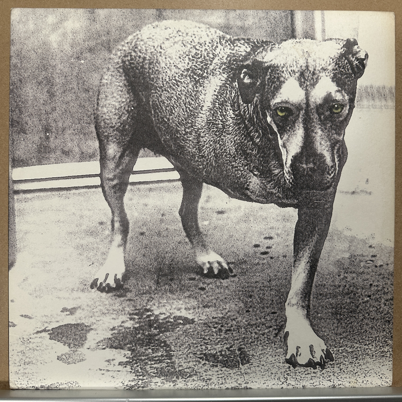 Alice In Chains – Self Titled (3 legged dog / tripod)